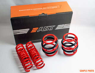 AST Suspension Lowering Springs: Tesla Model 3 Long Range / Performance (2018-24)