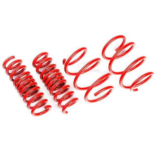 AST Lowering Springs: Tesla Model 3 Base / Long Range / Standard Plus (2018-2024)