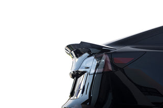 MXP T3-1 Wet Carbon Rear Spoiler: Tesla Model 3 (2017-2026)